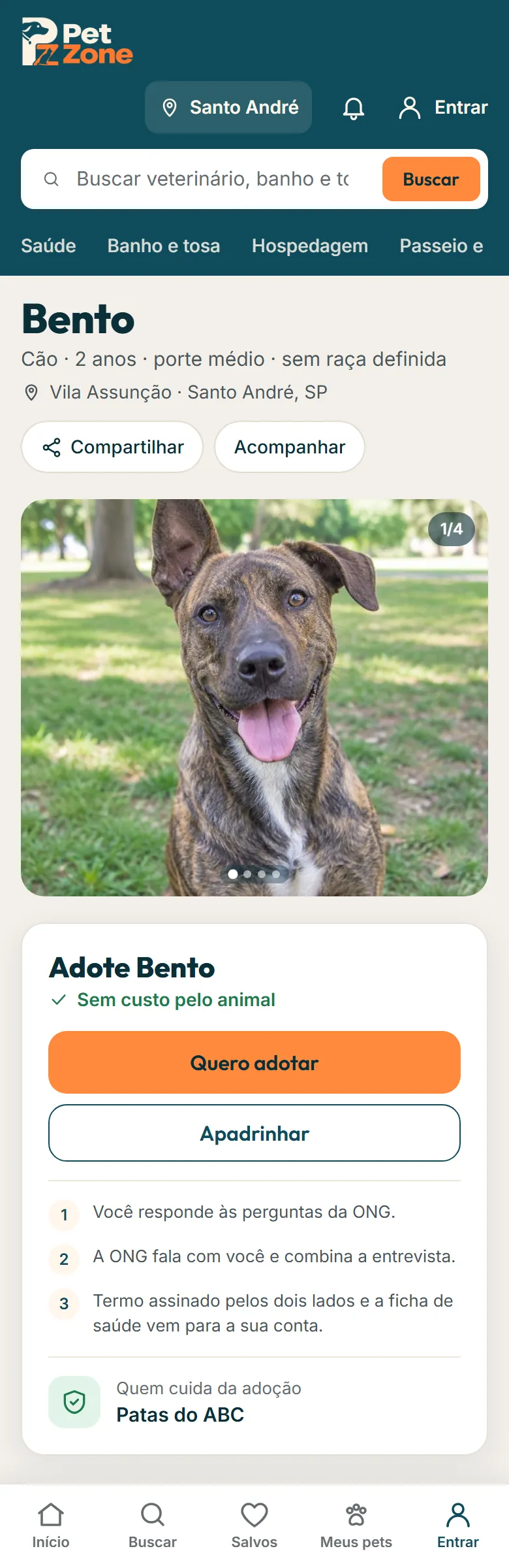 Perfil do animal com o botão Quero adotar e quem cuida da adoção